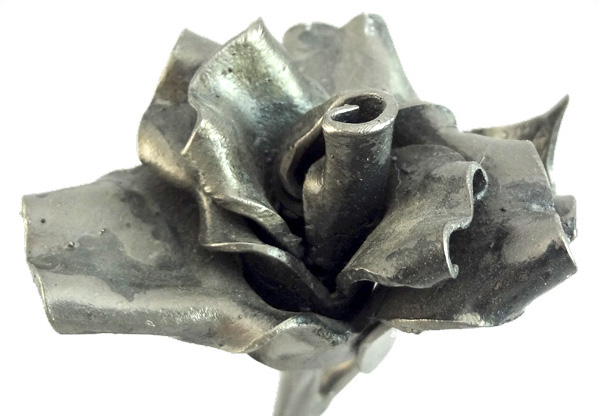 Close-Up: Rose Petals