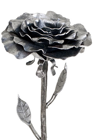 Close-Up: XL Fine Petal Rose (2)